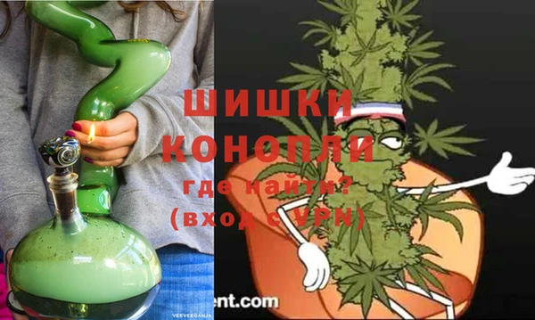 дурь Белокуриха