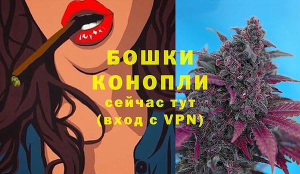 прущая мука Богородск