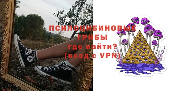 дурь Белокуриха