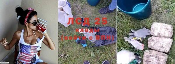ГАЛЛЮЦИНОГЕННЫЕ ГРИБЫ Богородицк