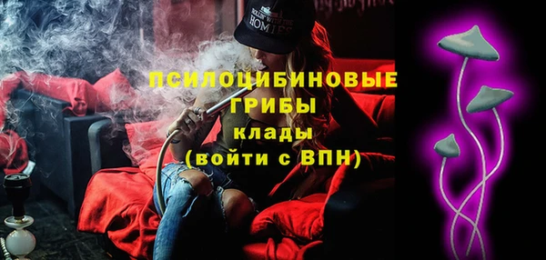 ГАЛЛЮЦИНОГЕННЫЕ ГРИБЫ Богородицк