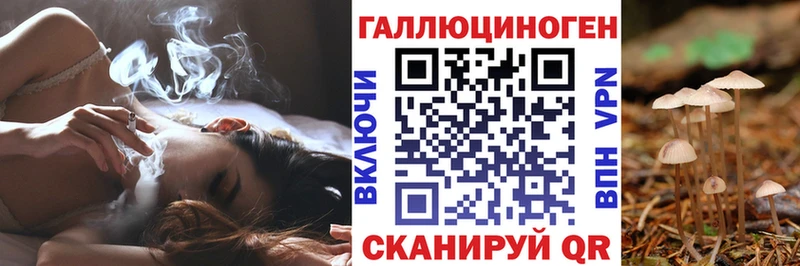 Галлюциногенные грибы Magic Shrooms хочу наркоту Кингисепп